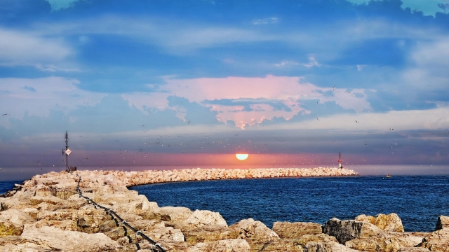 米乐M6集团：球场材料硅pu价格