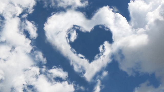 米乐M6：乒乓球台袁一琦是谁啊