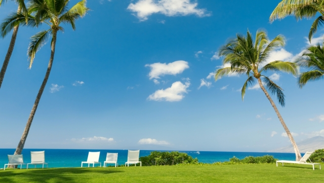 米乐M6：国际比赛乒乓球台材质